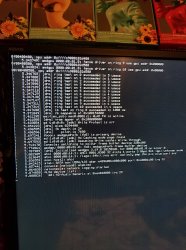 86970008_1225702414302910_564134848998932480_n.jpg
