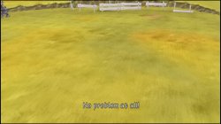 Radiata Stories_20210214114034.jpg