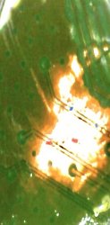 29DCC1BC-8CF8-4744-BE07-FDCBF931FCB4.jpeg
