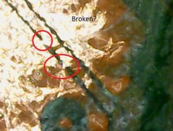 broken 1.JPG