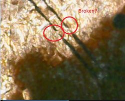 broken 3.JPG