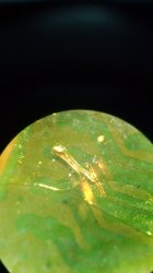 IMG_20200206_091546414.jpg