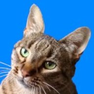 MiaowMinx