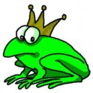 HONEYCOMBFROG