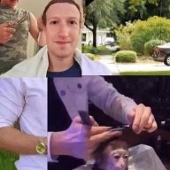 zaeek