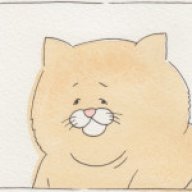 bastiqui