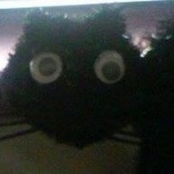 Morbo