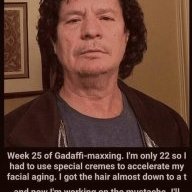 FastZander101