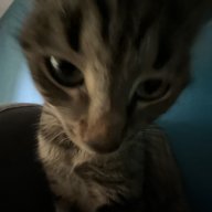 Furosha