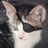 reij