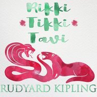 Rtt
