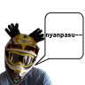 sl1pkn07