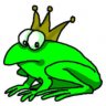HONEYCOMBFROG