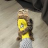 MrNuggetJr