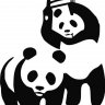 blckbear_