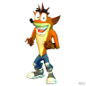skonafid
