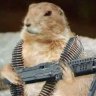 Combatxlemming