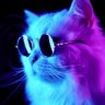 PurrrayStation