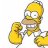 homer_